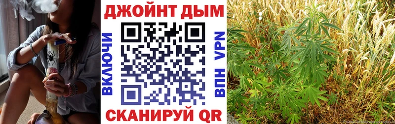 Наркошоп купить АМФ  МЕТАМФЕТАМИН  Гашиш  КОКАИН  Меф  Псилоцибиновые грибы  Емва