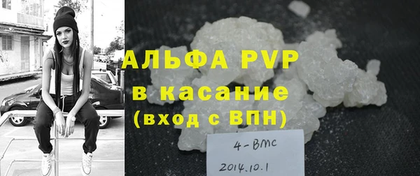 прущие грибы Касимов