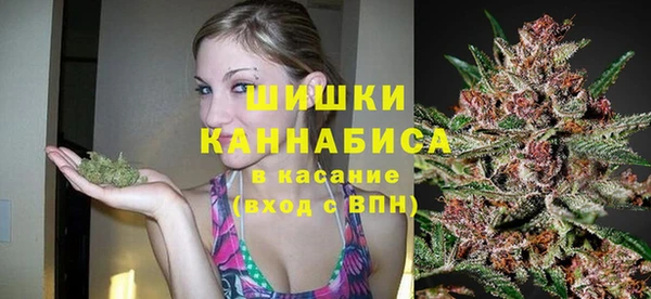 прущие грибы Касимов