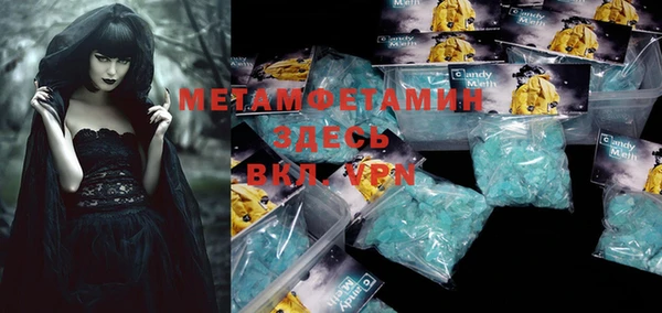 прущие грибы Касимов