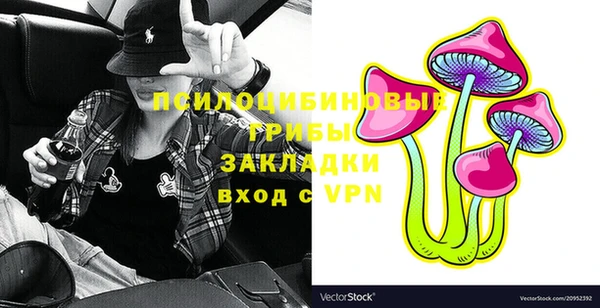 прущие грибы Касимов