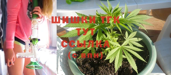 прущие грибы Касимов