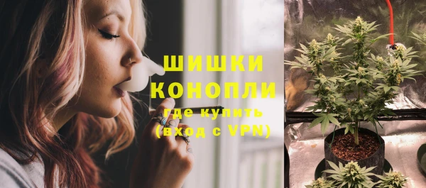 прущие грибы Касимов