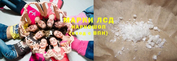 прущие грибы Касимов